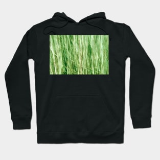 Nature in abstract, green grass in motion blur Hoodie